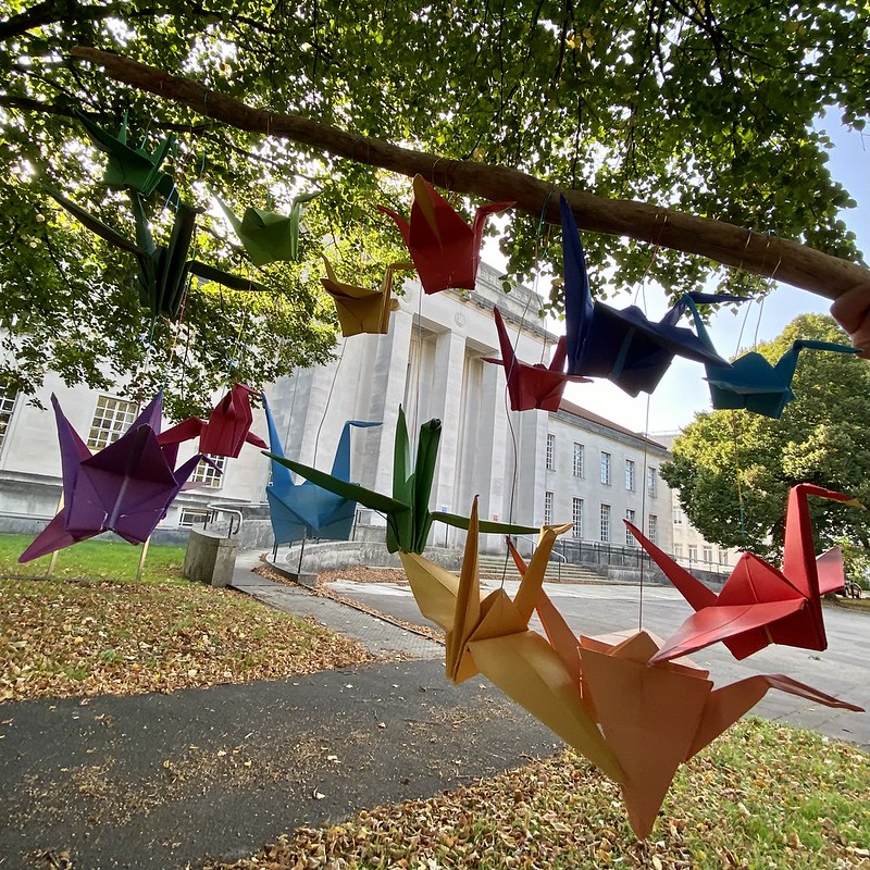 wales for peace cranes